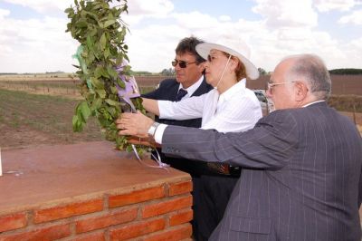 Pulsa para ver la imagen a tamaño completo