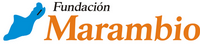 Logo Fundacion