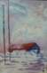 Photo Number 201